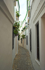 Panele Szklane  Ulica w Barrio de la Villa, Priego de Córdoba, Andaluzja, Hiszpania