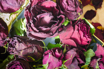 Obraz premium dried roses