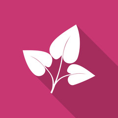 leaf flat design modern icon