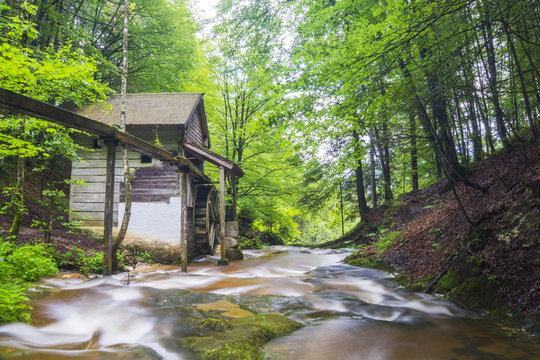 Mühle im Wald