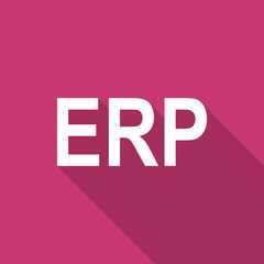 erp flat design modern icon