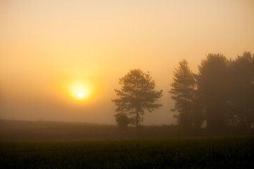 Sunrise at foggy meadow