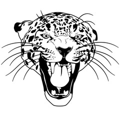 Wild cat leopard outline vector © okili77