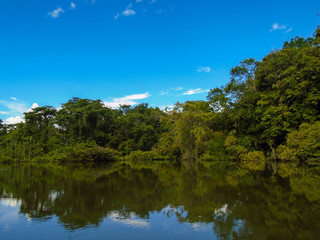 Fototapeta na wymiar Amazon river