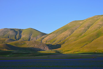 Fioritura di Castelluccio di Norcia