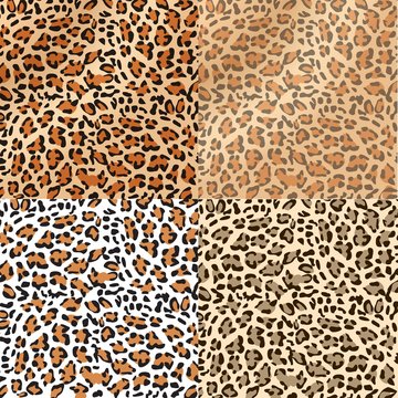 Leopard print vector