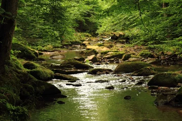Fotobehang Rivier rivier in het bos