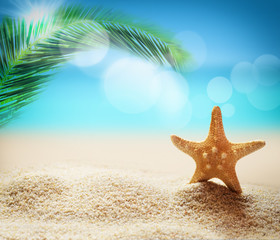 Fototapeta na wymiar Starfish on the tropical beach background