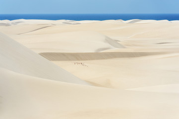 Sand dunes of Stero in Socotra island, Yemen