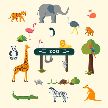 Animals and Zoo