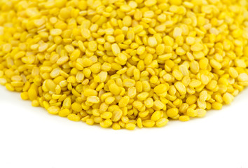 soybean isolated on white background