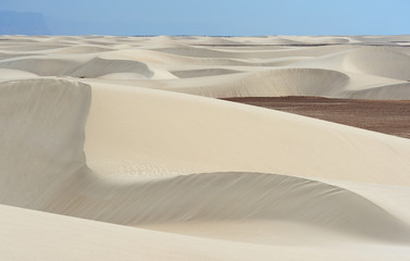 Fototapeta na wymiar Sand dunes of Stero in Socotra island, Yemen