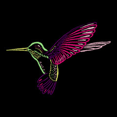 Colorful Hummingbird on blackboard hand-drawn with color chalks. Vector illustration.