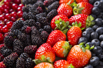 Some gooseberries, raspberries, strawberries and blueberries ove