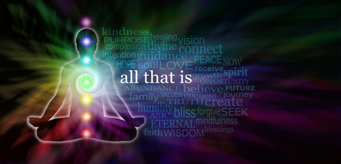 Chakra Meditation Word Cloud Website Banner - wide dark banner with rainbow colored spiral and male lotus position silhouette on left side and a transparent word cloud surrounding All That Is in white