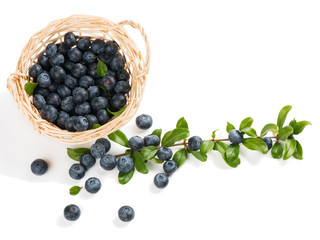 Basket with blueberry
