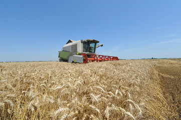 New modern combine harvester during rye earning.