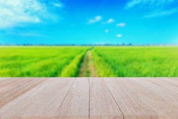 Top wooden table with blue green rice field background