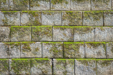 Stone wall pattern with green moss background and texture
