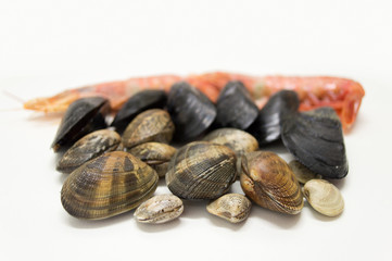 ingredients to paella