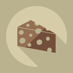 Flat modern design with shadow icons cheese