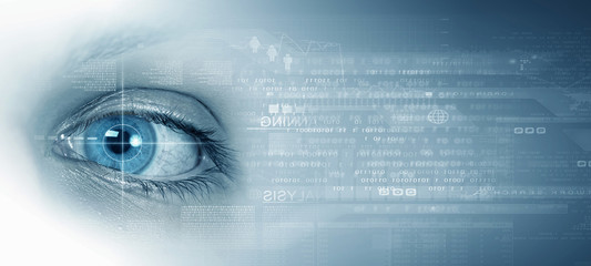 Security and identification