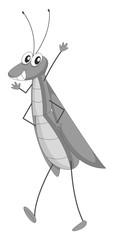 Grasshopper