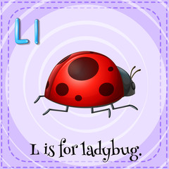 Obraz premium Ladybug