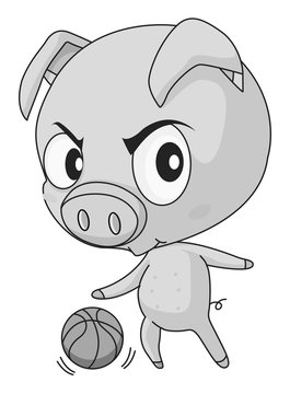 Pig and basketball