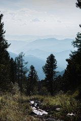 the upper reaches of a mountain stream