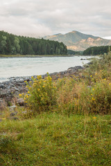 Katun river