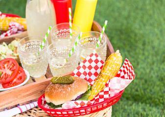 Summer picnic © arinahabich