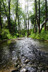 creek