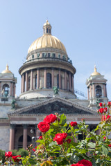 Fototapeta na wymiar red roses against St. Isaac's Cathedral in the summer