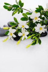 Lying down branch gardenia with therapy stones 