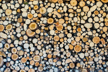 Holzstapel
