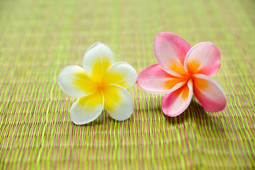 Fototapeta na wymiar Pink and white frangipani flower on green mat
