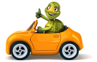 Fun turtle