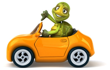 Fun turtle