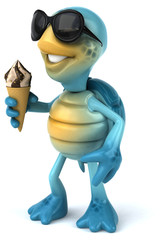 Fun turtle