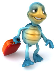 Fun turtle