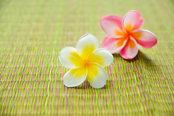 Fototapeta na wymiar Two frangipani flower on green mat