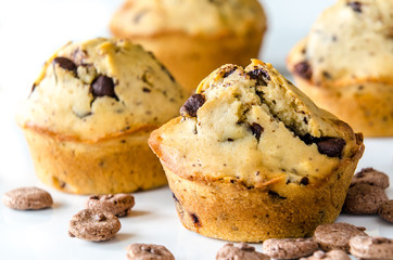 Muffins mit Schokolade Stückchen auf weiß