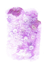 Flower watercolor illustration.