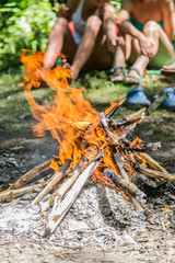 Bonfire in the forest. Happy holidays.