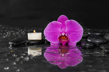 Beautiful orchid with white candle and therapy stones 