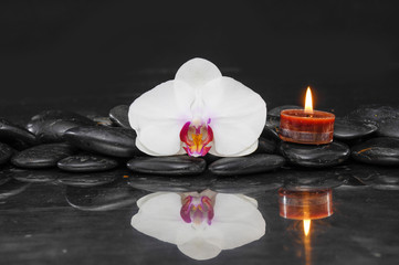Still life with white orchid with candle and therapy stones 