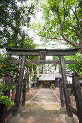 Fototapeta na wymiar 小野神社・鳥居