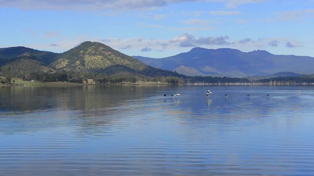 Bird flying over lake moogerah, Queensland during the day.