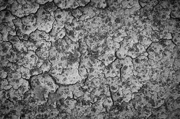 Cracked ground background, texture